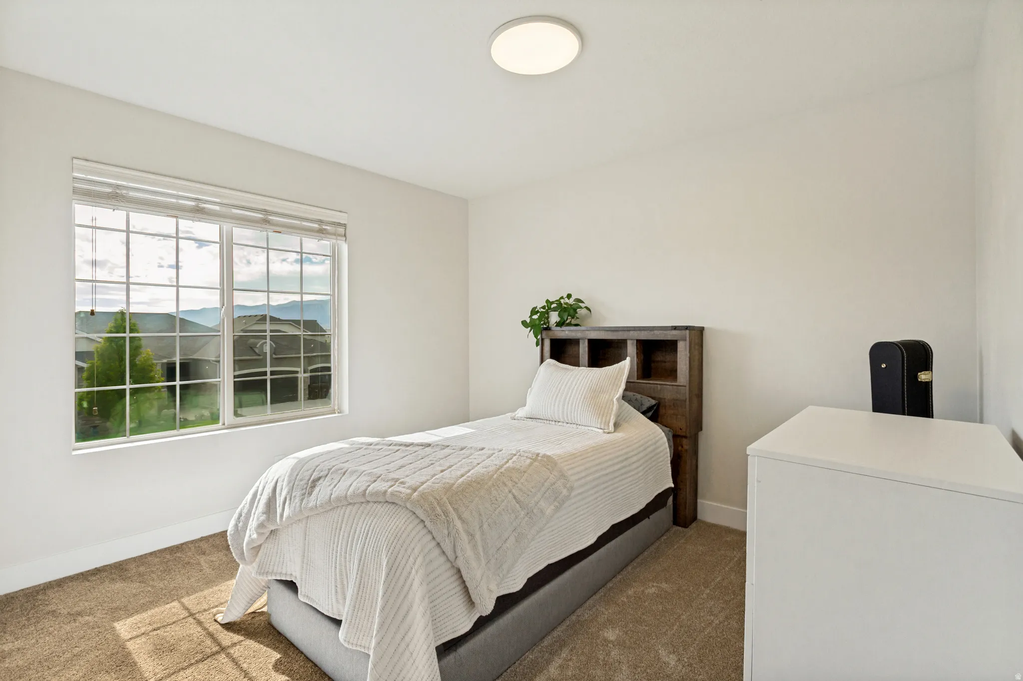 Carpeted room with a large grid-pattern window, white walls, and a ceiling-mounted light fixture