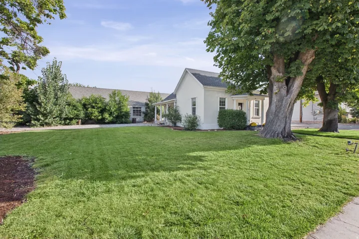 Expansive lawn with mature trees and a gravel driveway
