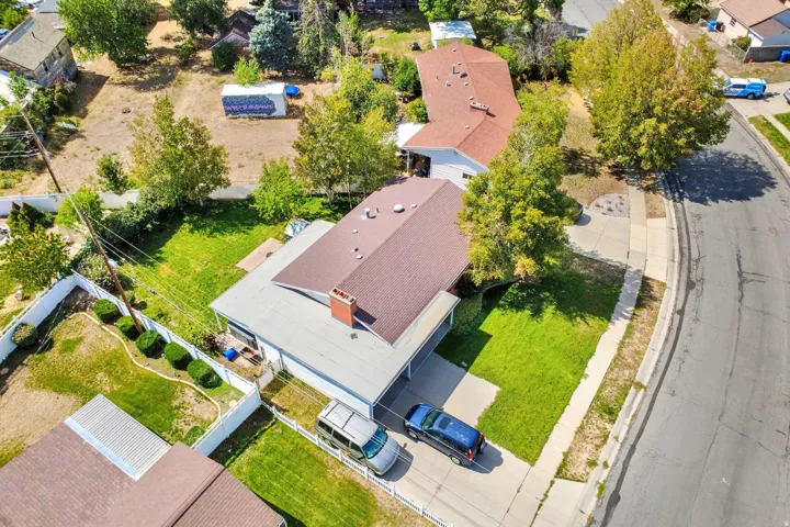 Expansive lot featuring mature trees, a manicured lawn, and a paved driveway