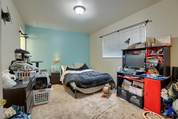 Carpeted room featuring a ceiling-mounted light fixture, a window with blinds, and painted accent wall