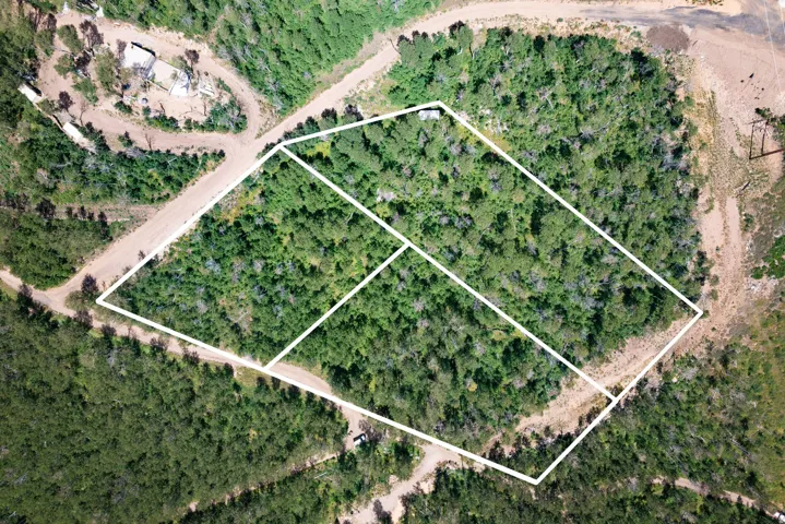 Aerial Survey Map. Outlining the boundaries of the property and its subsections