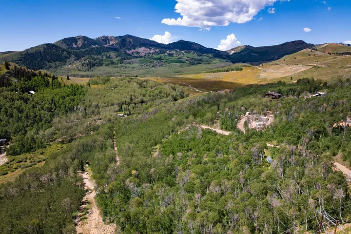 Expansive mountainous terrain with varied tree coverage, multiple structures, and a winding unpaved road