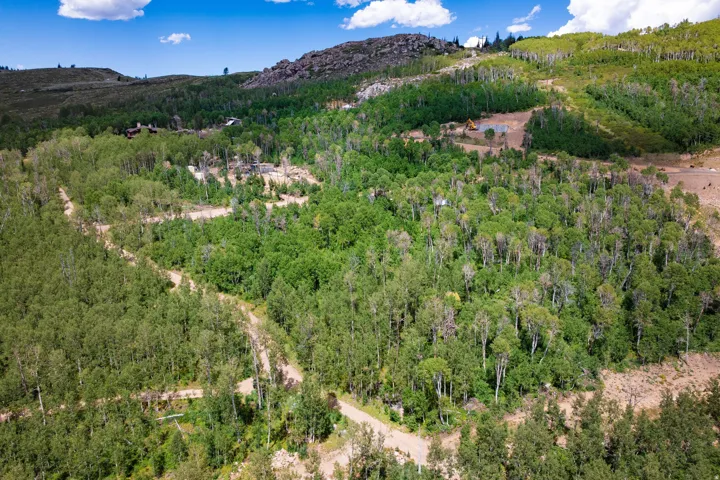 Expansive wooded landscape with varied tree density, including a mix of deciduous and evergreen trees