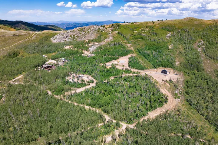 Extensive mountainous terrain featuring abundant green trees and visible cleared pathways