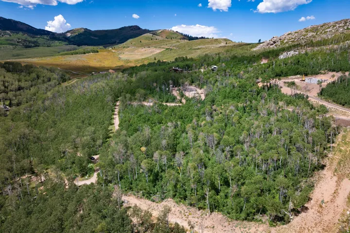 Expansive lot featuring dense tree coverage, mountainous terrain, and clear skies