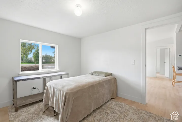Light-filled room featuring a large window, light-toned wood-finish flooring, and a flush-mount ceiling light