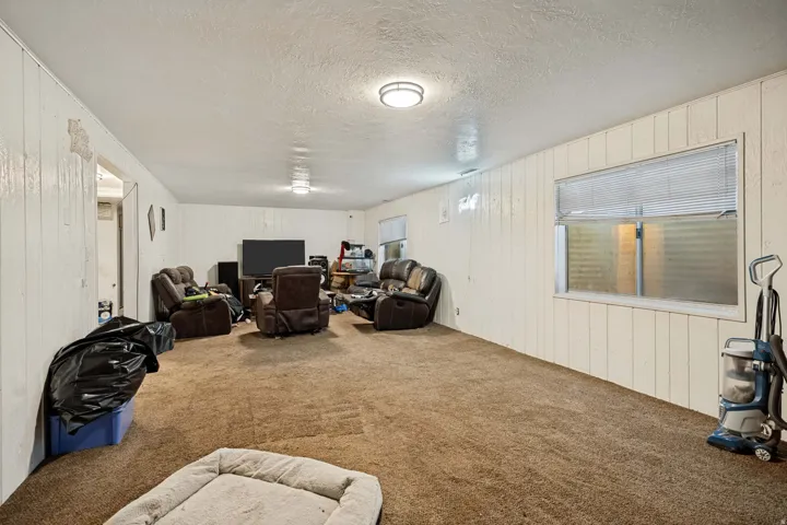 6709 - basement living room