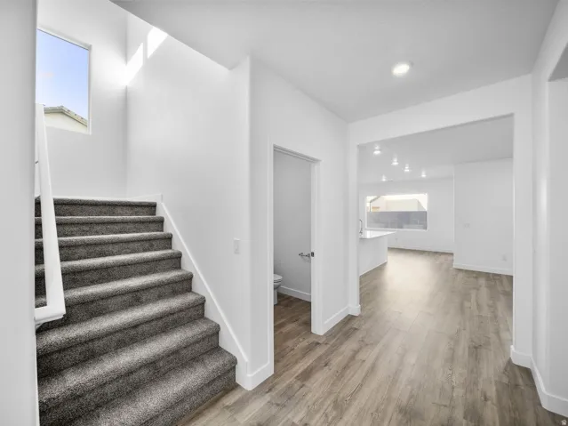 Carpeted staircase with white railing, wood-finish flooring, recessed lighting, and a skylight
