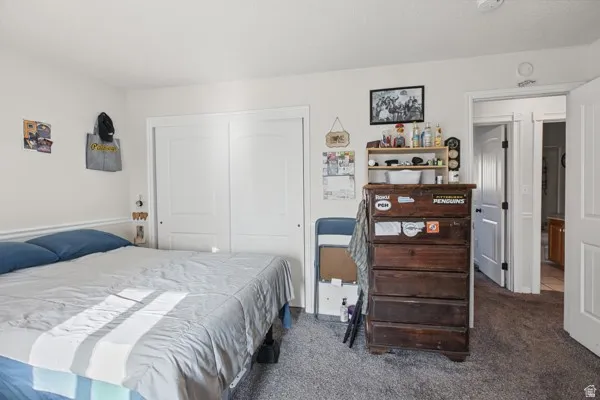 White walls with chair rail detailing, carpeted flooring, and a double-door closet with white panel doors