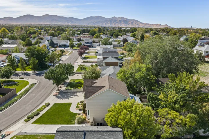 Neighborhood setting with mature trees and mountain scenery