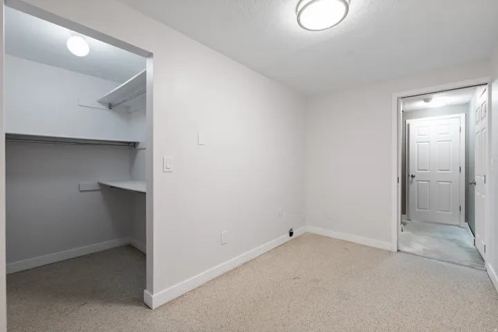 Basement Bedroom Two w/Walk-in Closet