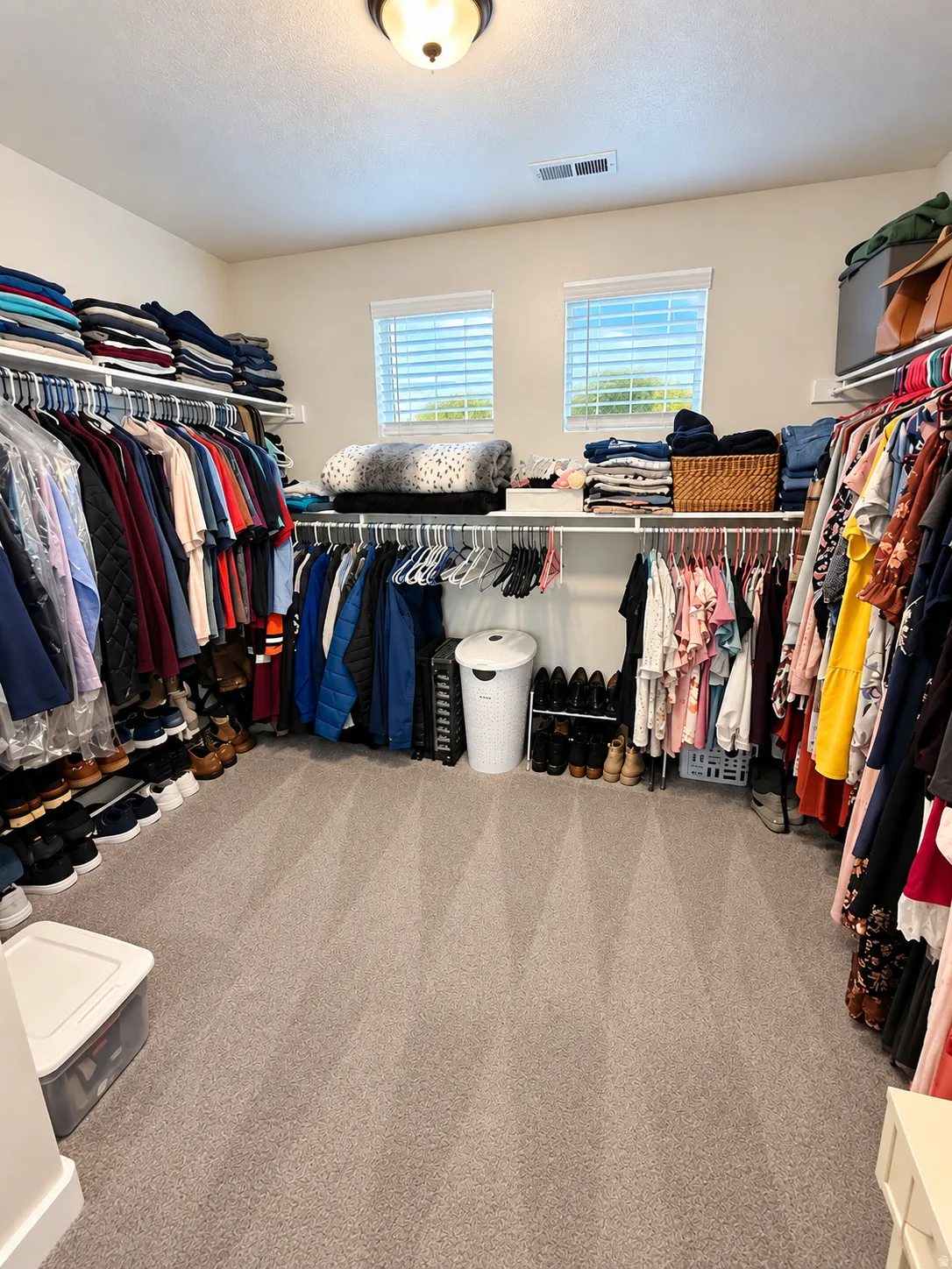 Walk-in closet featuring built-in shelving, hanging rods, two windows with blinds, and light-toned carpeting