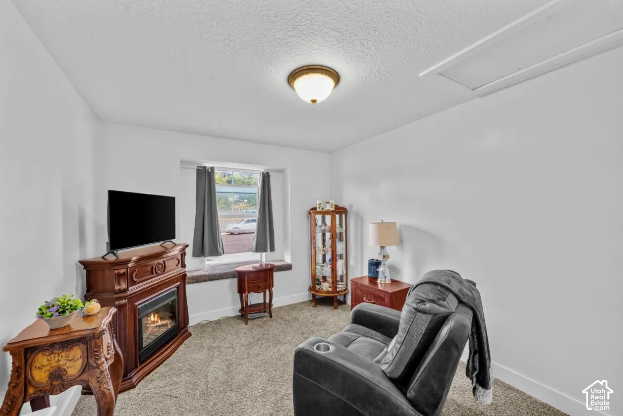 Recessed window, permanent ceiling light fixture, and carpeted flooring