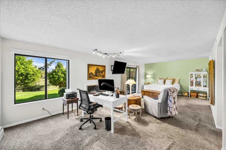 Expansive room with large windows, track lighting, and soft carpeting