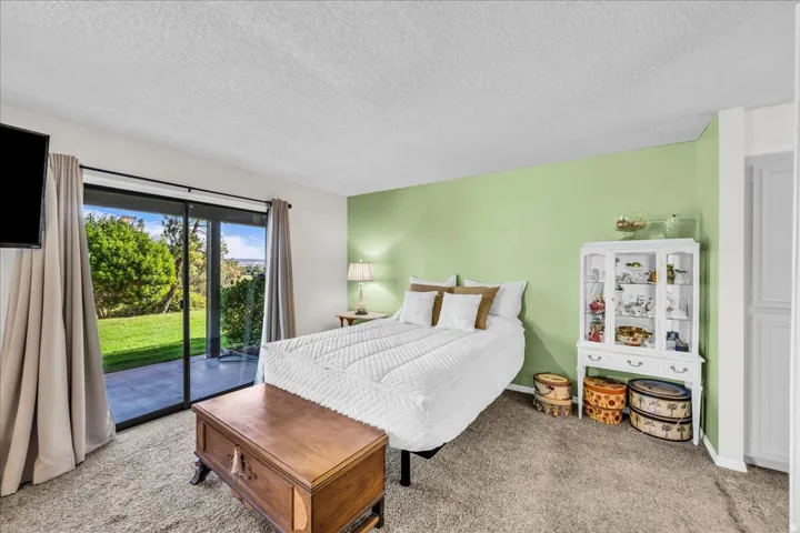 Primary bedroom suite featuring a fresh sage green accent wall, wall-to-wall carpet flooring, and glass sliding doors opening to manicured landscaping