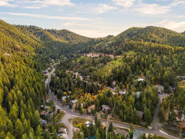Mountainous terrain with extensive tree coverage and residential properties