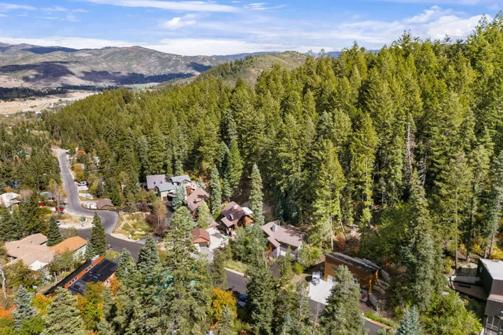 Mountainous terrain with lush evergreen tree coverage and residential properties