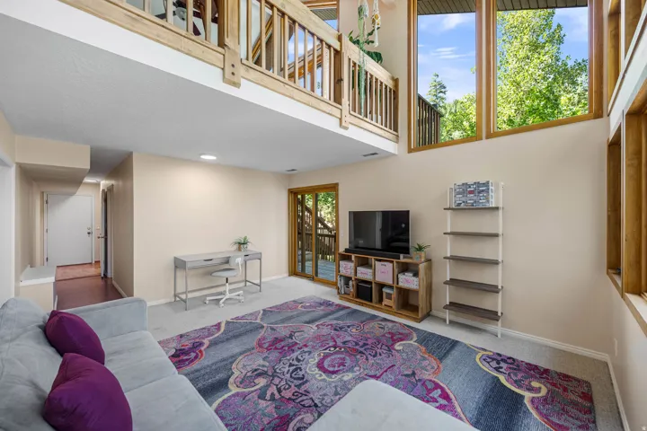 Lower level second living room. High ceilings, wood-finish window frames, wood-finish balcony railings, glass sliding door, and carpeted flooring