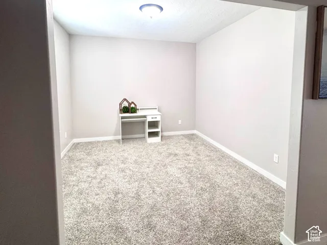 Recessed room with light gray walls, light gray carpet, and a flush-mount ceiling light