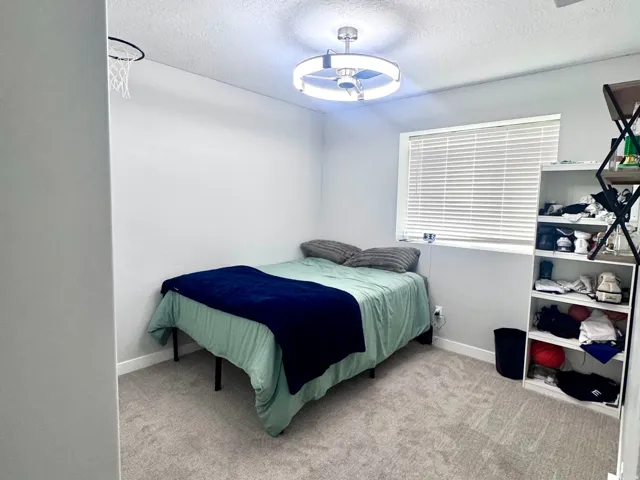 Neutral wall paint, ceiling-mounted light fixture, window with blinds, and wall-to-wall carpeting