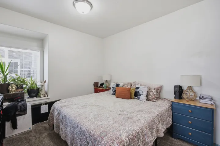Recessed window with white blinds and trim, textured carpet, and a ceiling-mounted light fixture