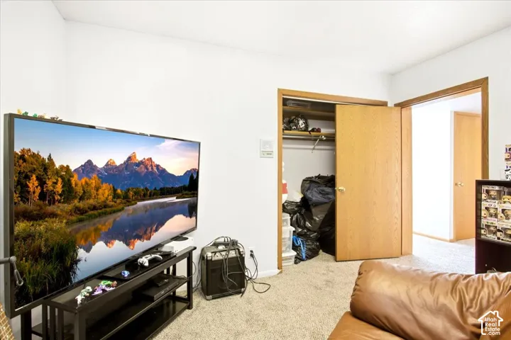 Neutral wall color, carpeted flooring, wood-finish doors, and a built-in closet with shelving