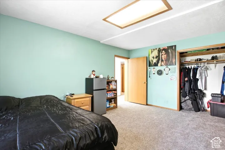 Carpeting throughout with light wood trim and a built-in closet with shelving and hanging rods
