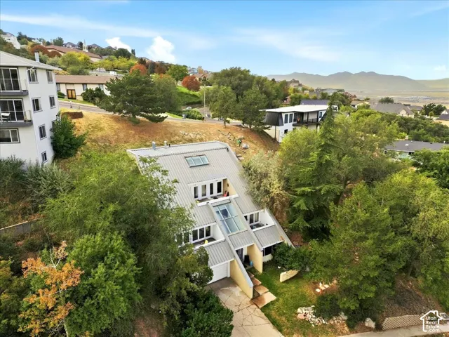 Sloped roofline with multiple skylights, lower-level patio, and mature surrounding trees