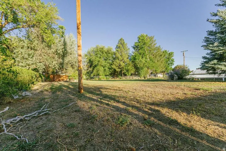 Expansive open lot featuring established perimeter trees and natural ground cover