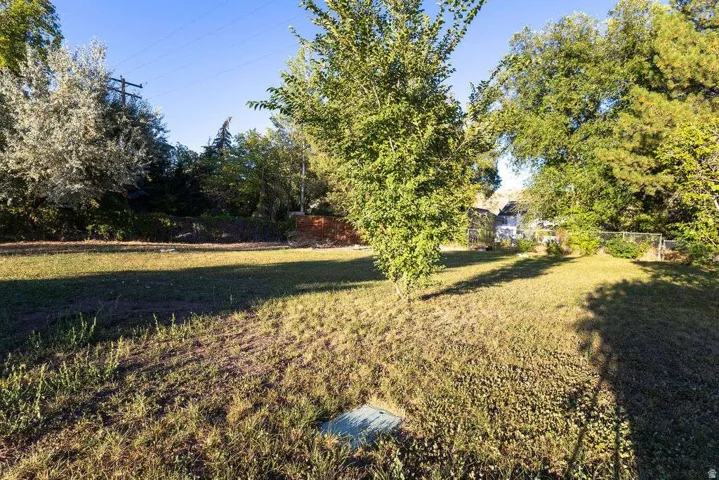 Expansive grassy yard with mature trees