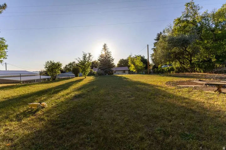 Expansive grassy area with mature trees and a distant structure