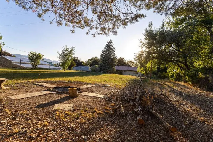 Expansive outdoor space featuring a fire pit with concrete paver surround, mature trees, and a grassy area
