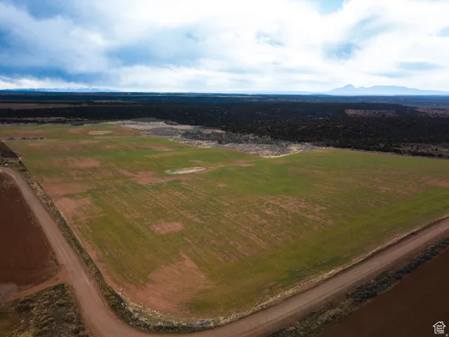 Expansive cultivated land featuring a dirt road border and distant mountain scenery