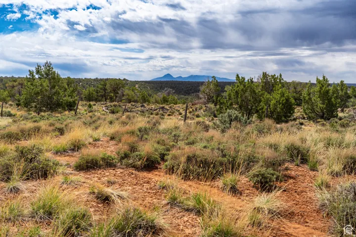 Expansive natural terrain featuring varied vegetation, distant mountain range, and open sky