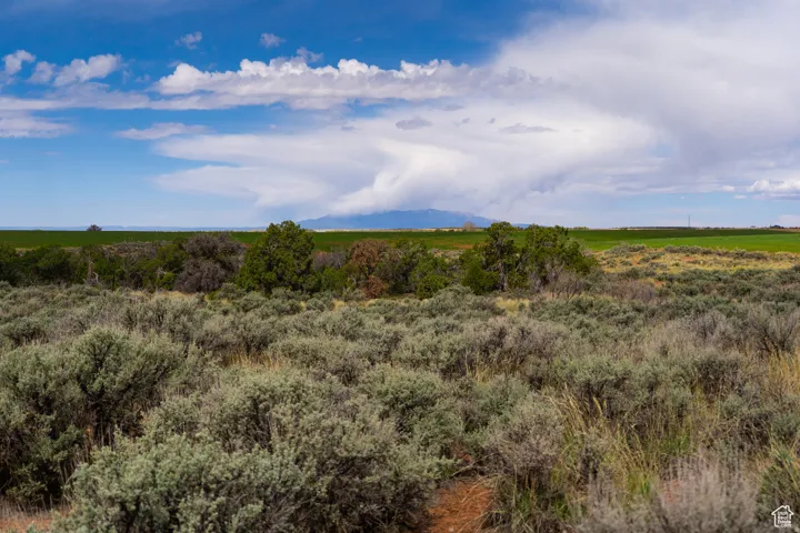 Expansive natural landscape with varied shrubbery and distant agricultural fields