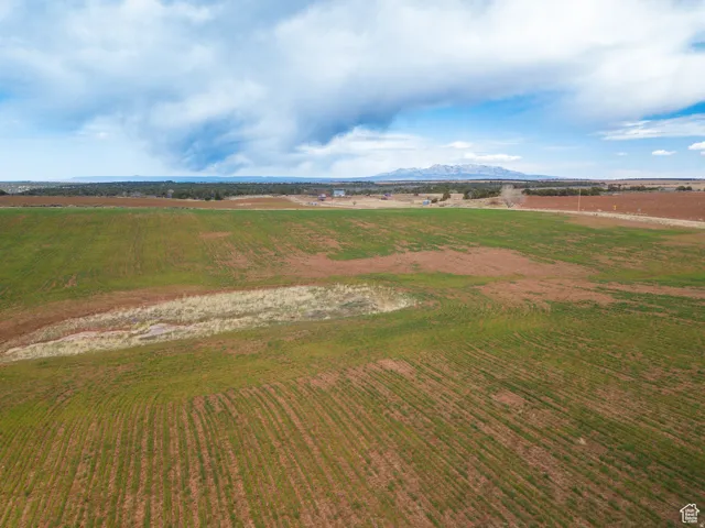 Expansive cultivated field with planted rows, featuring varied green and brown vegetation, and distant mountain range scenery