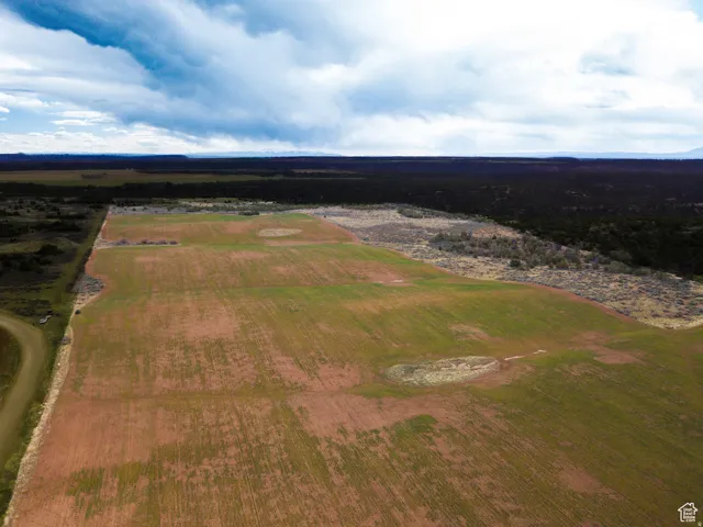 Expansive agricultural field with distinct sections of red earth and green growth, bordered by a dirt road and distant natural landscape