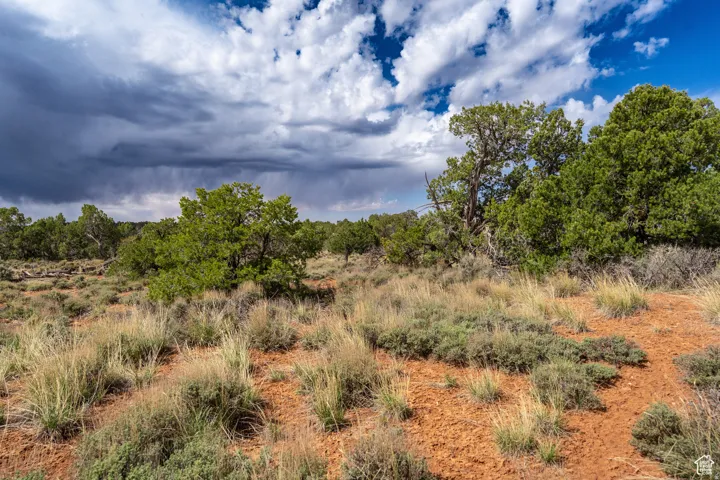Expansive natural landscape featuring varied terrain, desert vegetation, and mature trees