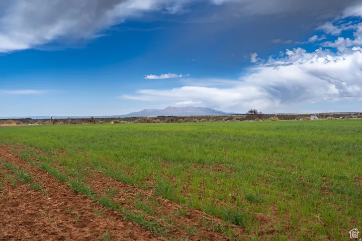 Expansive cultivated field with planted rows and distant mountain ranges