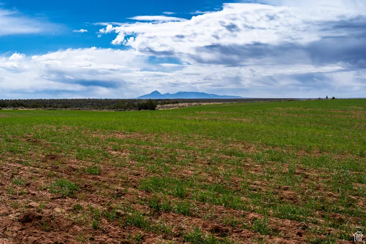 Expansive field with emerging green growth, rugged mountain range, and a vast sky