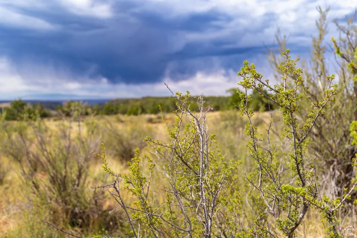Expansive natural landscape featuring varied vegetation