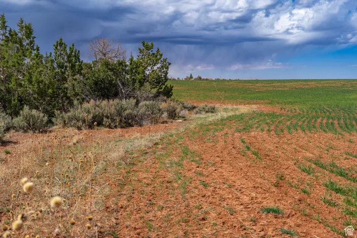 Expansive agricultural land featuring cultivated fields and natural vegetation bordering the property