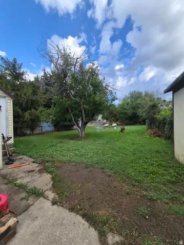 Expansive rear yard featuring mature trees and a concrete patio