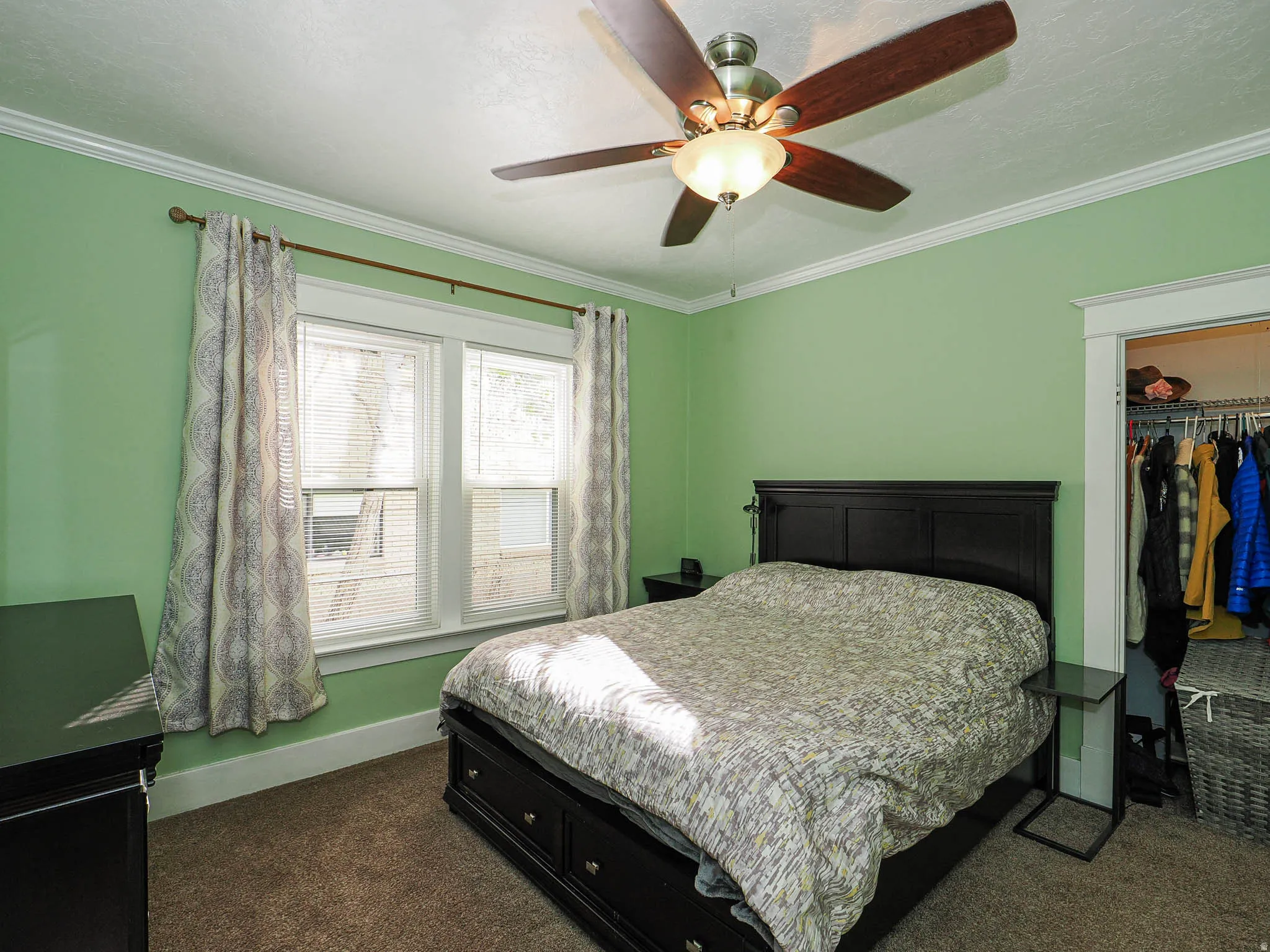 Carpeted room featuring a ceiling fan with integrated lighting, crown molding, and a window with blinds