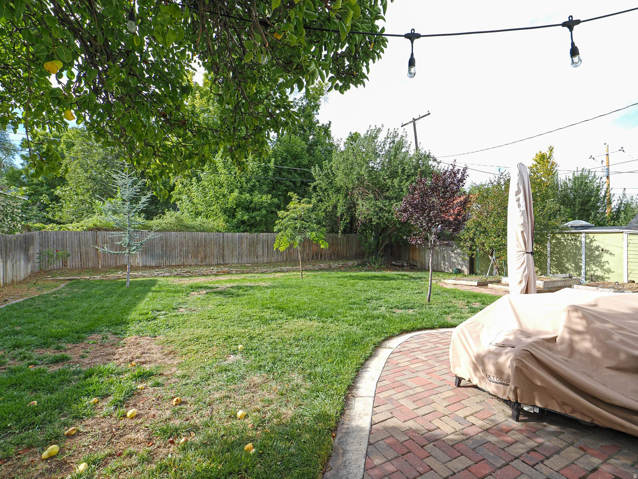 Expansive green space featuring a wood fence, established trees, a brick paver patio, and string lighting