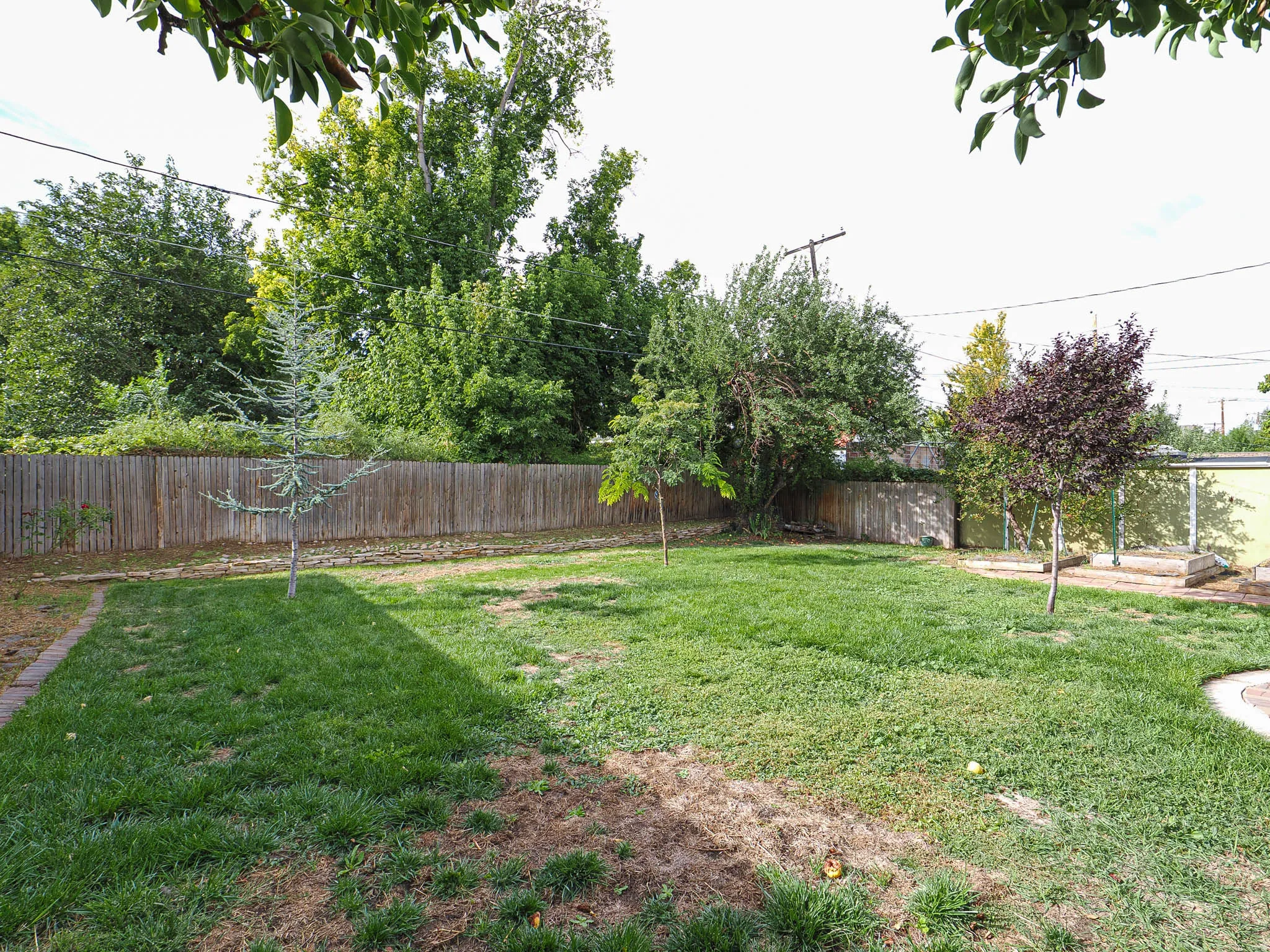 Expansive grassy yard with mature trees and a wood privacy fence