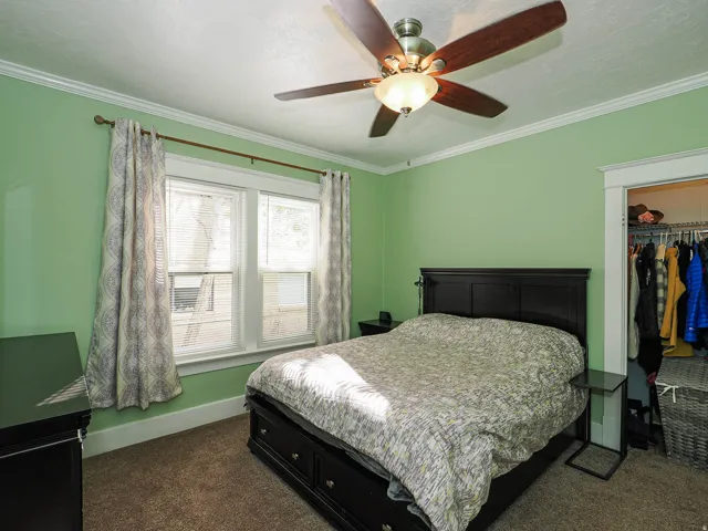 Carpeted room featuring a ceiling fan with integrated lighting, crown molding, and a window with blinds