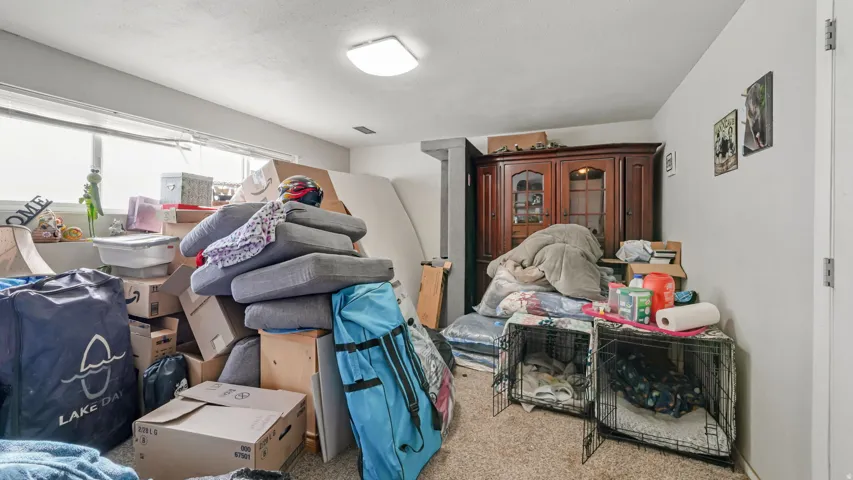 Basement Living