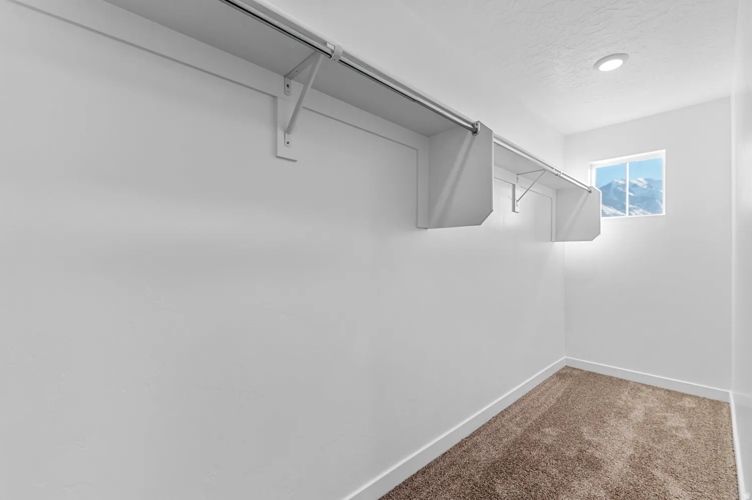 Recessed lighting illuminates a space featuring built-in shelving, a hanging rod, and carpet flooring