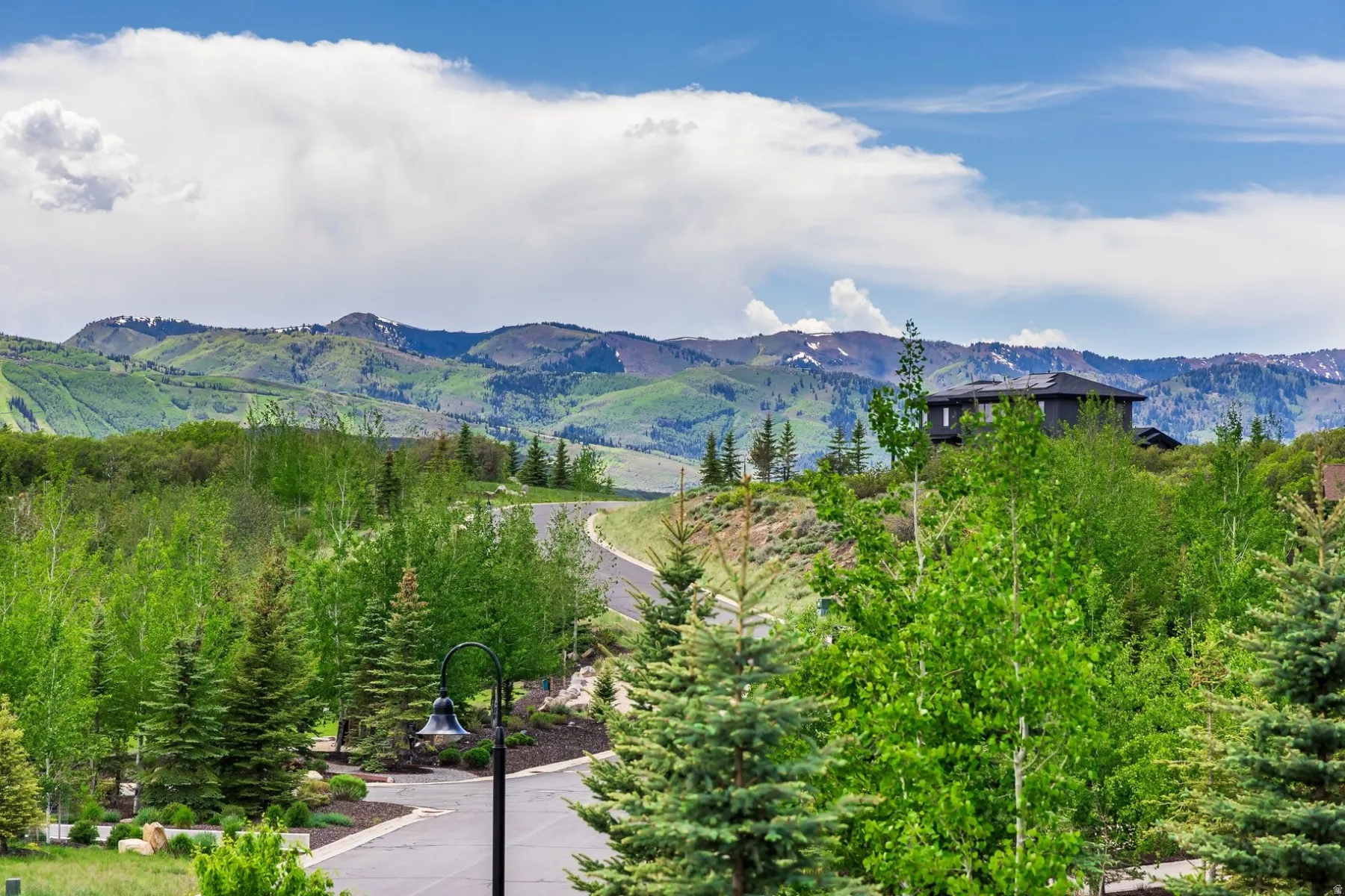 Mountainous terrain with evergreen and deciduous trees, a winding paved road, and a distant residential structure
